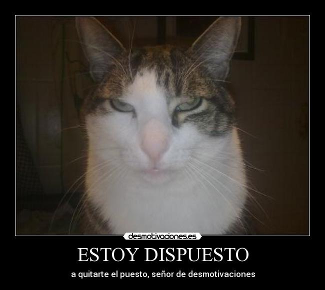 ESTOY DISPUESTO - a quitarte el puesto, señor de desmotivaciones