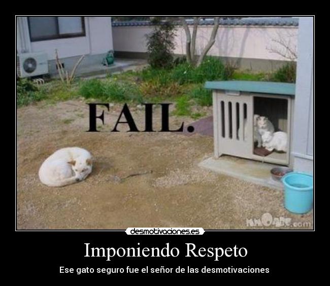 Imponiendo Respeto -
