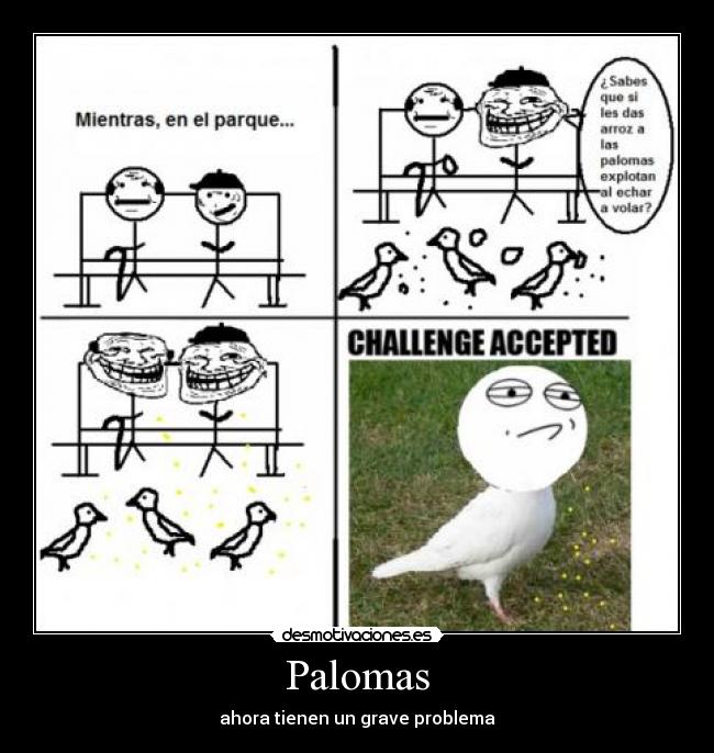 Palomas - ahora tienen un grave problema