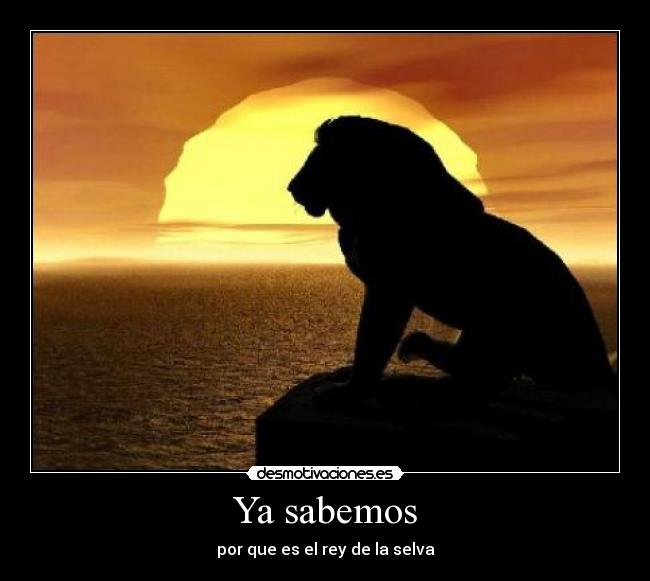 Ya sabemos - por que es el rey de la selva