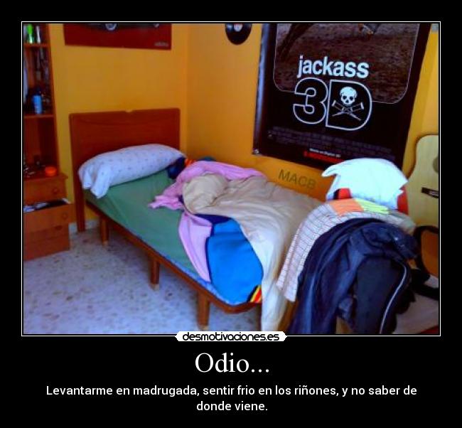 Odio... - Levantarme en madrugada, sentir frio en los riñones, y no saber de donde viene.