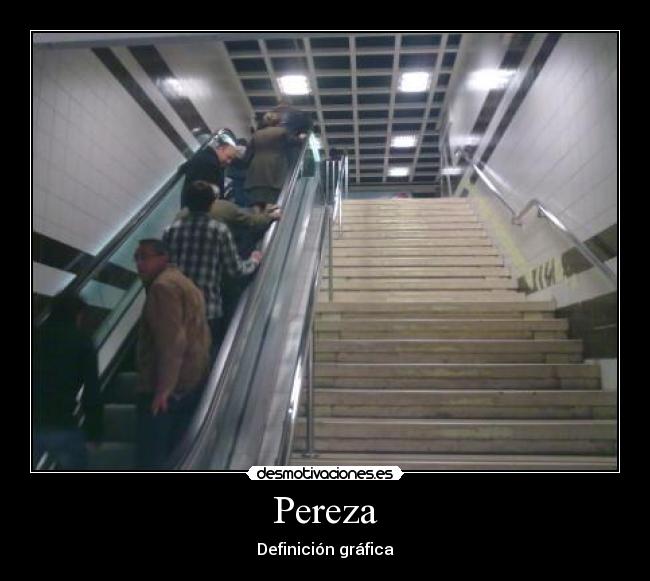 Pereza - 