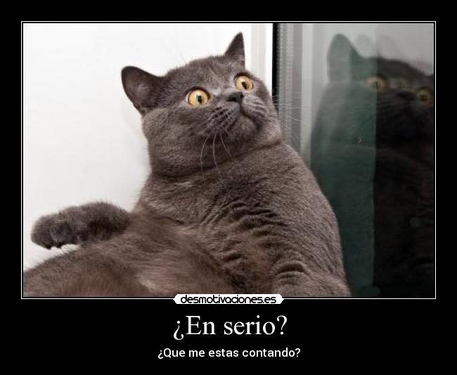 ¿En serio? -