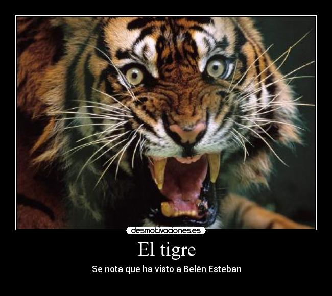 El tigre -
