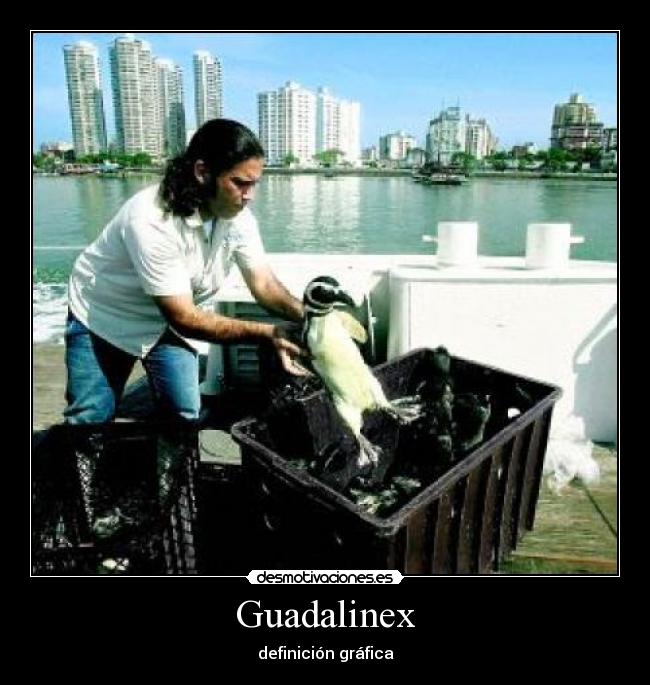 Guadalinex -