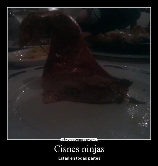 Cisnes ninjas -