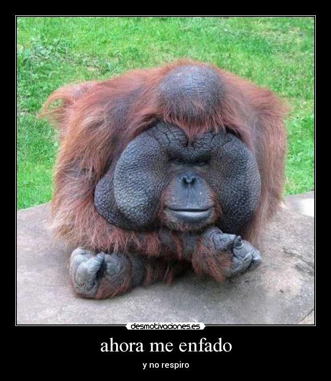 ahora me enfado - y no respiro
