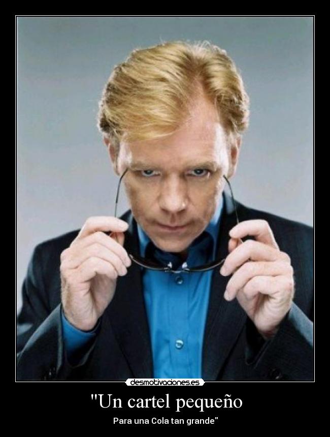 carteles horatio caine desmotivaciones