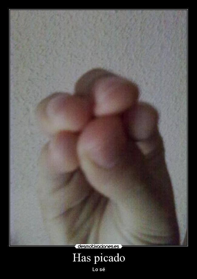 Has picado - Lo sé