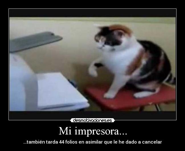 Mi impresora... - ...también tarda 44 folios en asimilar que le he dado a cancelar