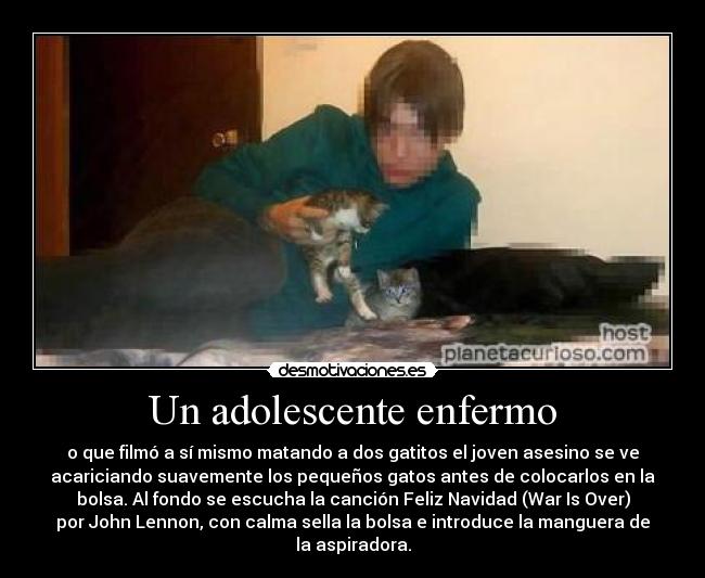 Un adolescente enfermo - o que filmó a sí mismo matando a dos gatitos el joven asesino se ve
acariciando suavemente los pequeños gatos antes de colocarlos en la
bolsa. Al fondo se escucha la canción Feliz Navidad (War Is Over)
por John Lennon, con calma sella la bolsa e introduce la manguera de
la aspiradora.