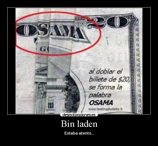 Bin laden - Estaba atento...

