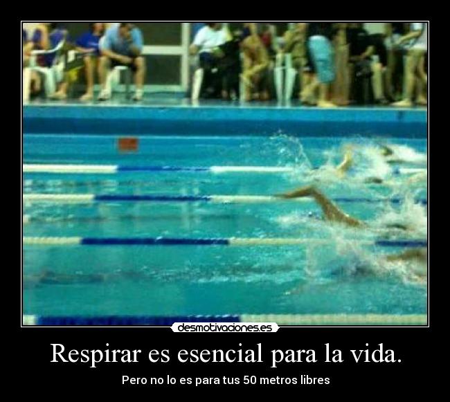 Respirar es esencial para la vida. - 
