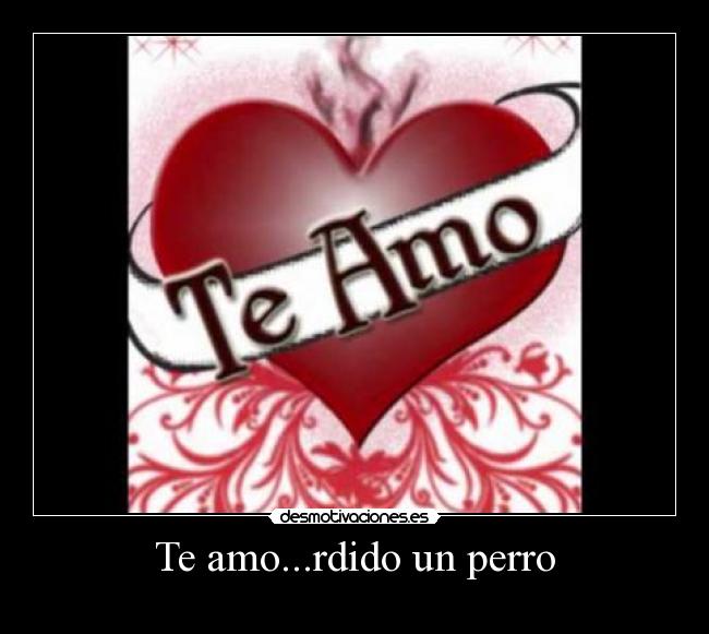 Te amo...rdido un perro -