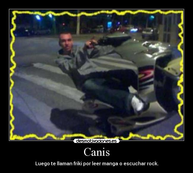 Canis - 