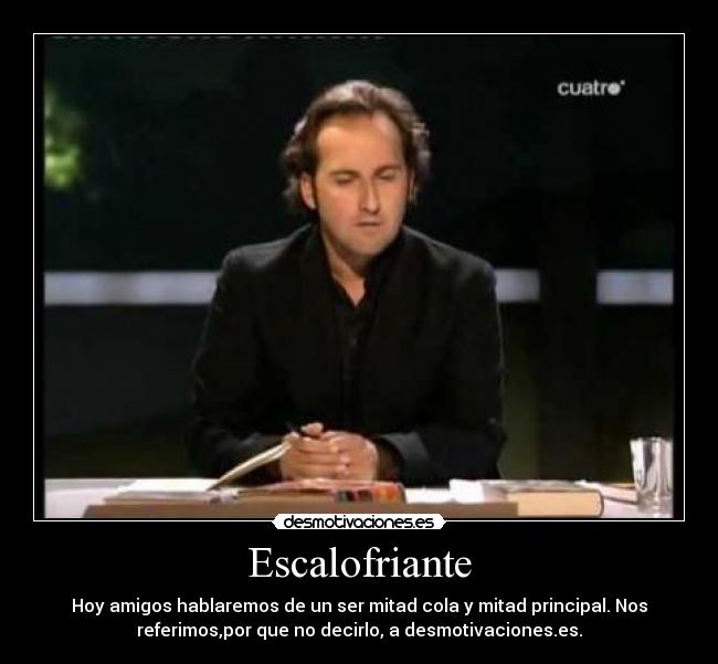 Escalofriante - Hoy amigos hablaremos de un ser mitad cola y mitad principal. Nos
referimos,por que no decirlo, a desmotivaciones.es.