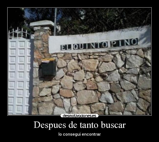 Despues de tanto buscar - 