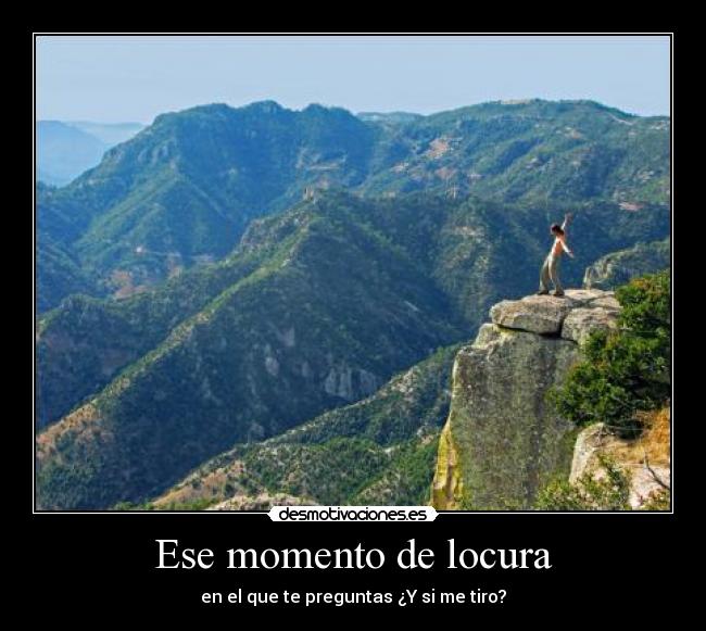 carteles locura locura desmotivaciones