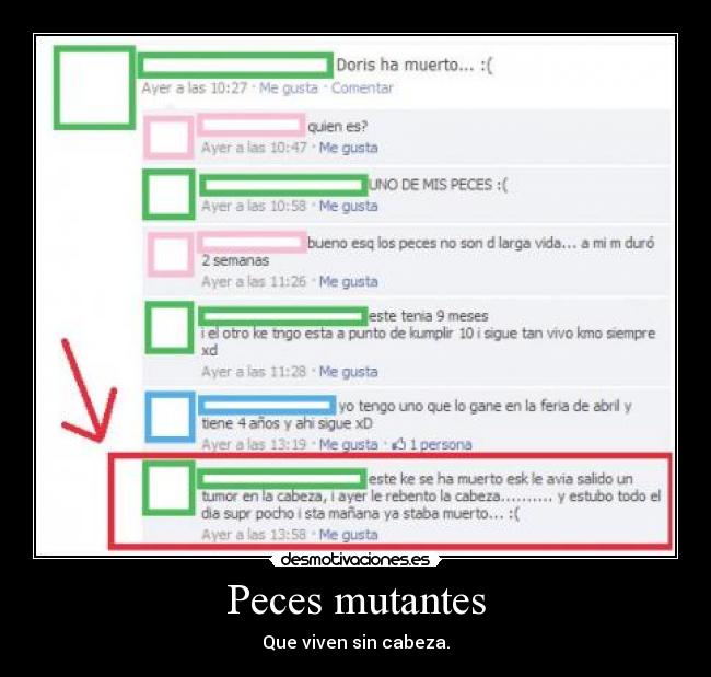 Peces mutantes - Que viven sin cabeza.