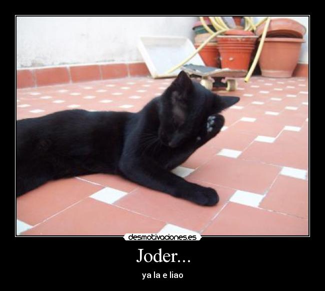 carteles joder desmotivaciones