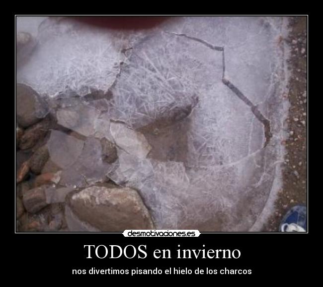 TODOS en invierno - nos divertimos pisando el hielo de los charcos