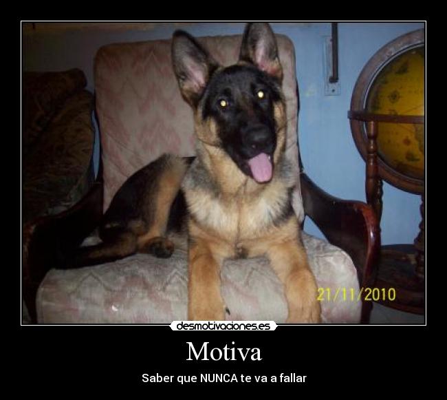 Motiva - 