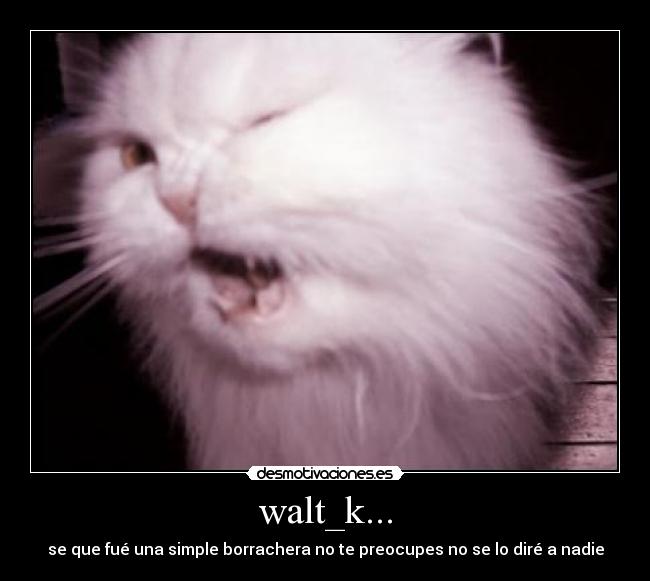 walt_k... - se que fué una simple borrachera no te preocupes no se lo diré a nadie