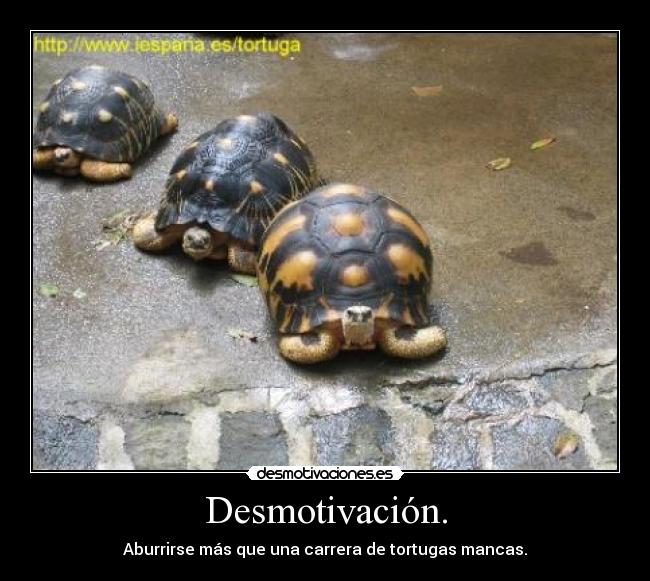 Desmotivación. -