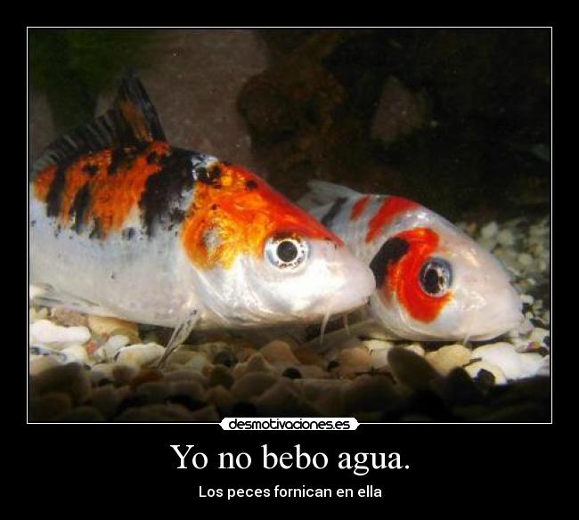 Yo no bebo agua. - Los peces fornican en ella