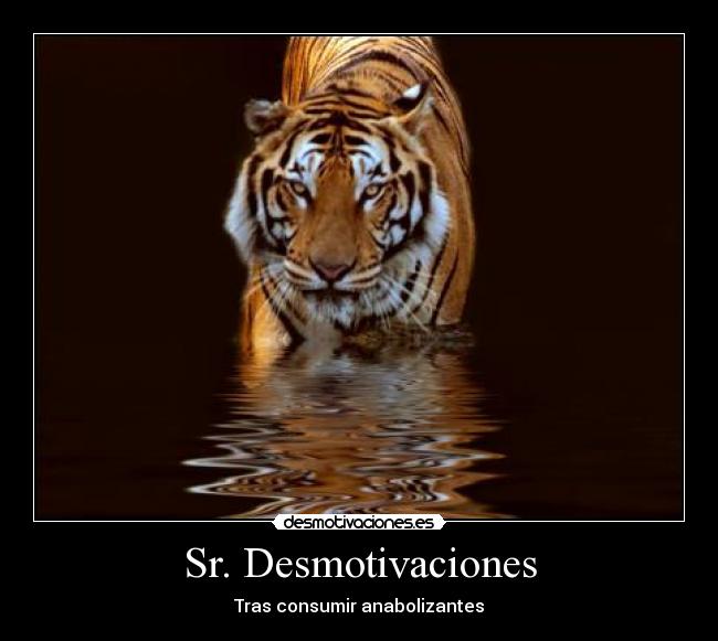 Sr. Desmotivaciones -