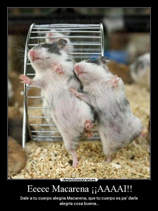 Eeeee Macarena ¡¡AAAAI!! -