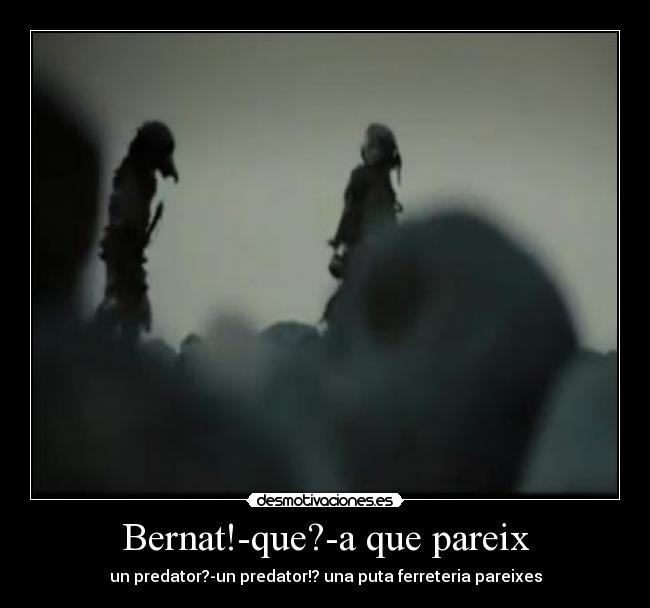 Bernat!-que?-a que pareix - un predator?-un predator!? una puta ferreteria pareixes