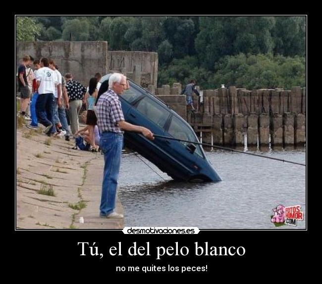 Tú, el del pelo blanco -