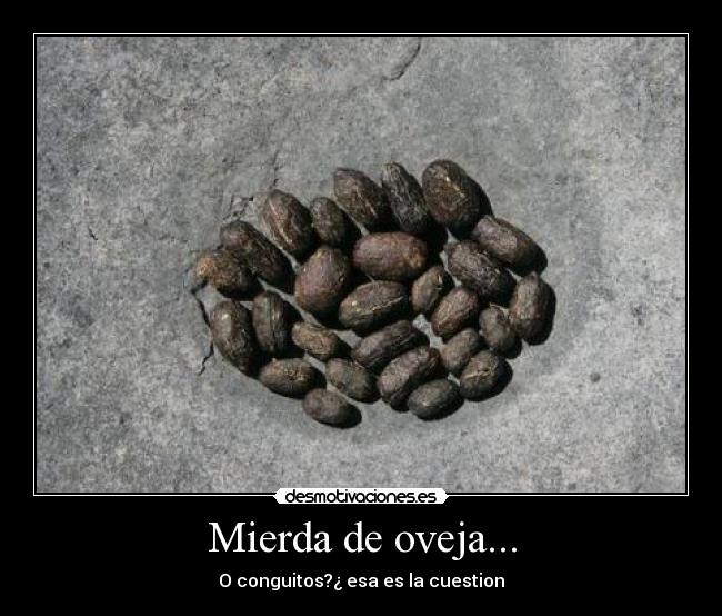 Mierda de oveja... -