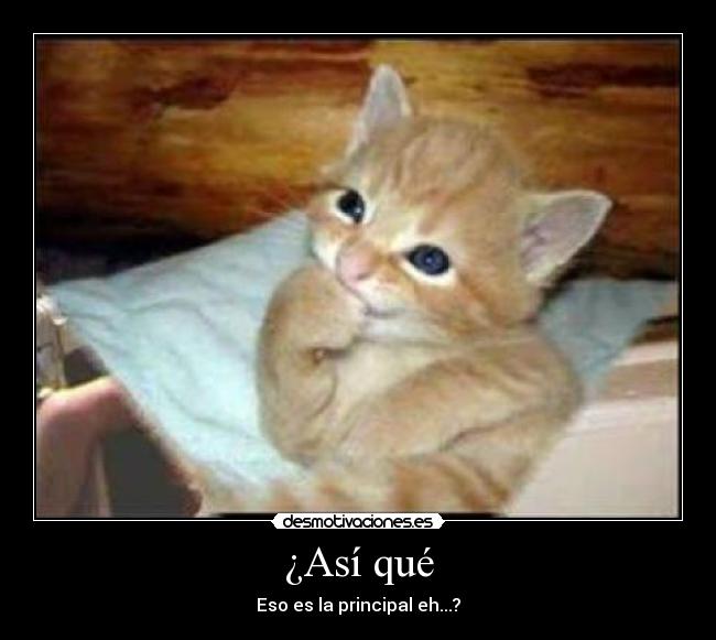 ¿Así qué - Eso es la principal eh...?