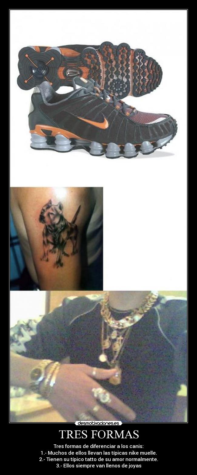 TRES FORMAS - Tres formas de diferenciar a los canis:
1.- Muchos de ellos llevan las típicas nike muelle.
2.- Tienen su típico tatto de su amor normalmente.
3.- Ellos siempre van llenos de joyas