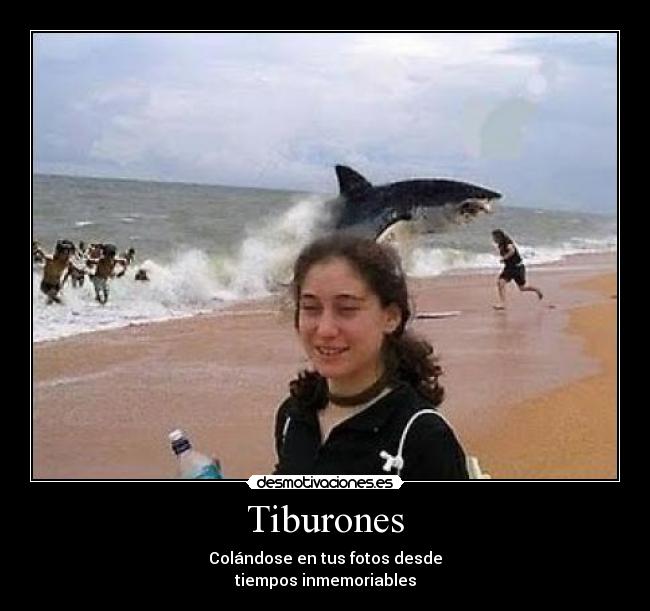 Tiburones - 