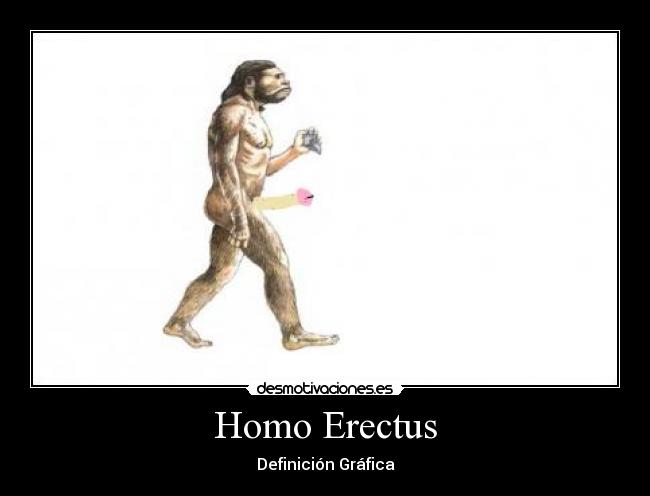 Homo Erectus -