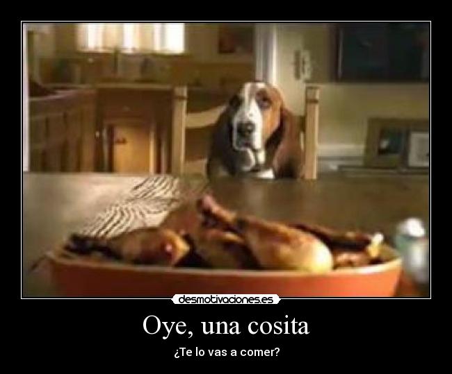 Oye, una cosita - ¿Te lo vas a comer?