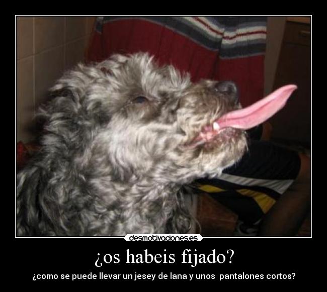 ¿os habeis fijado? - 