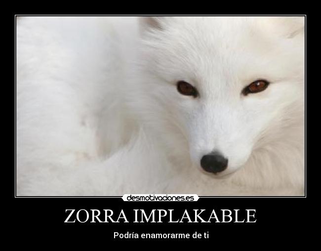 ZORRA IMPLAKABLE - 