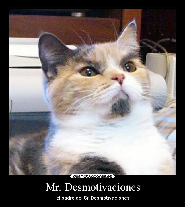 Mr. Desmotivaciones -