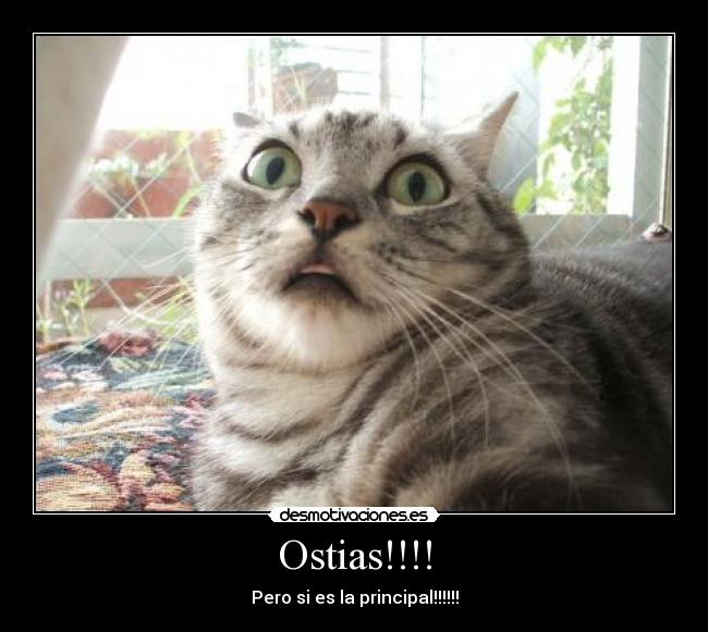 Ostias!!!! - Pero si es la principal!!!!!!