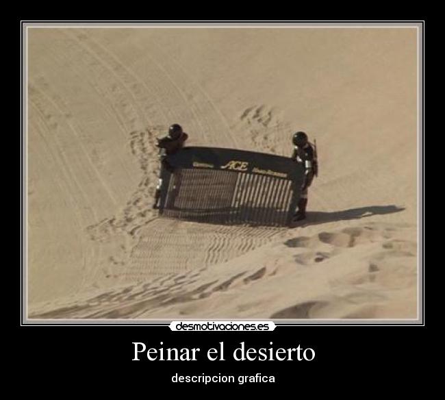 Peinar el desierto - descripcion grafica