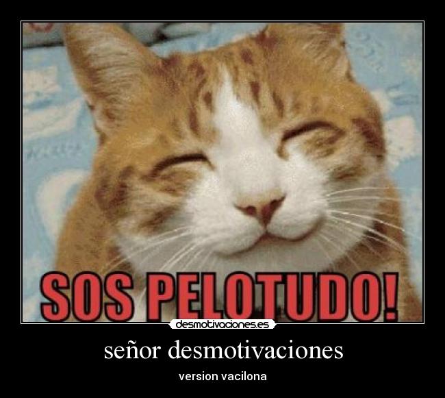 señor desmotivaciones - version vacilona