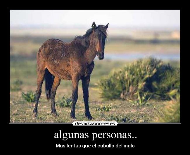 algunas personas.. - Mas lentas que el caballo del malo