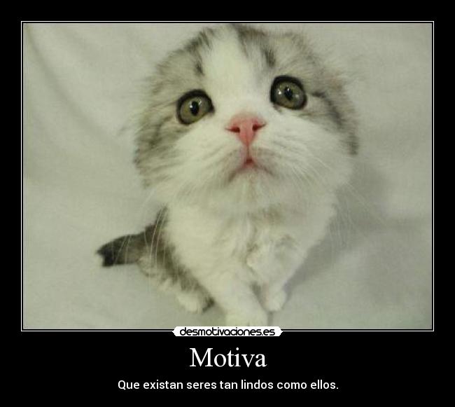 Motiva - Que existan seres tan lindos como ellos.