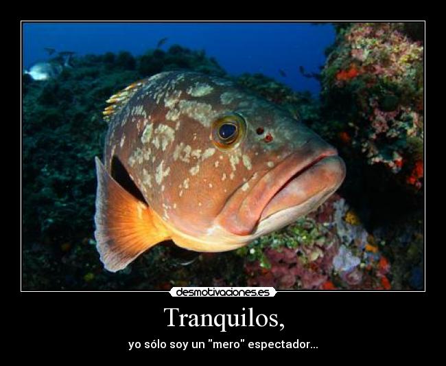 Tranquilos, -