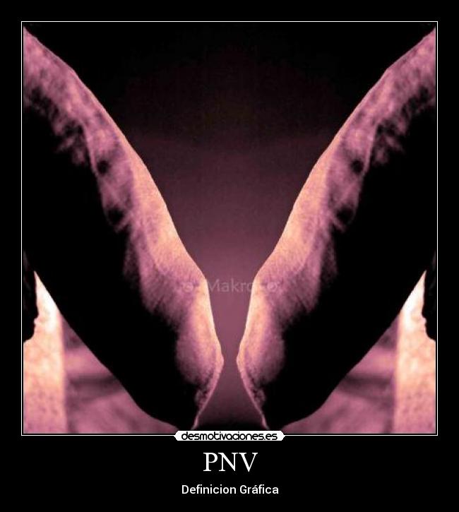 PNV -