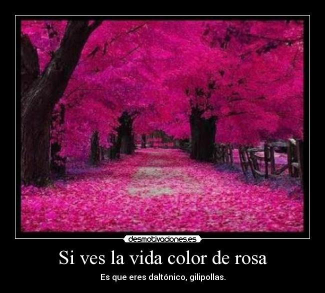 Si ves la vida color de rosa - Es que eres daltónico, gilipollas.